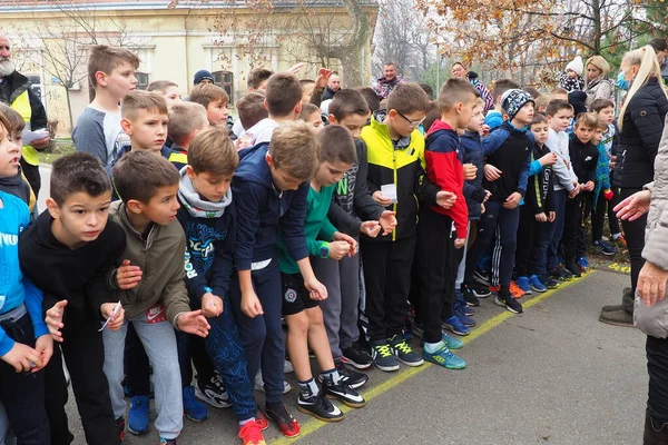 Sremska Mitrovica Serbien November 2021 Sportwettbewerb Für Schulkinder Die Kinder — Stockfoto