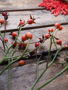 Yaban gülünün kırmızı meyveleri ya da tahta bir arka planda gül çalıları. Arka planda pulları olan kırmızı oyulmuş bir yıldız. Sonbahar, yeni yıl ya da Noel hala hayat.