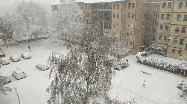 Sremska Mitrovica Sérvia Dezembro 2021 Invasão Ciclone Neve Neve Branca — Fotografia de Stock