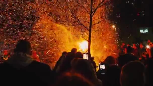 Sremska Mitrovica January 2022 Burning Sacred Oak Tree Stake Front — Αρχείο Βίντεο