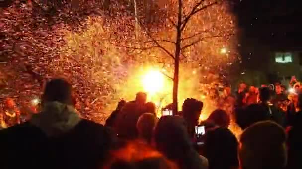 Sremska Mitrovica January 2022 Burning Sacred Oak Tree Stake Front — стокове відео