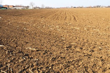 Tarım tarımı için ekilebilir alan hazır. Traktörün ya da kombinasyonunun izleri. Mısır unu yere düştü. Ekmek için verimli toprak. Gübreler iyi bir hasat için anahtardır.