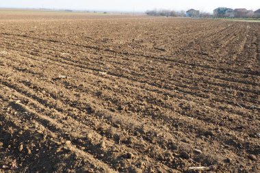 Tarım tarımı için ekilebilir alan hazır. Traktörün ya da kombinasyonunun izleri. Mısır unu yere düştü. Ekmek için verimli toprak. Gübreler iyi bir hasat için anahtardır.