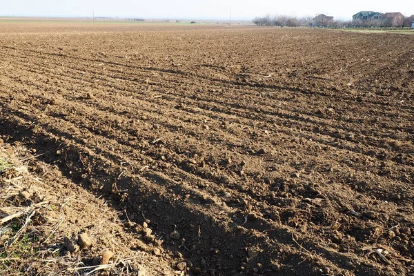 Tarım tarımı için ekilebilir alan hazır. Traktörün ya da kombinasyonunun izleri. Mısır unu yere düştü. Ekmek için verimli toprak. Gübreler iyi bir hasat için anahtardır.