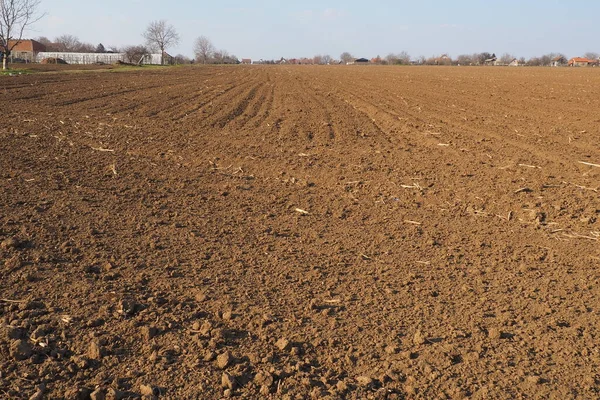 Campo Seminativo Pronto Lavori Agricoli Primaverili Solchi Dal Passaggio Trattore — Foto Stock