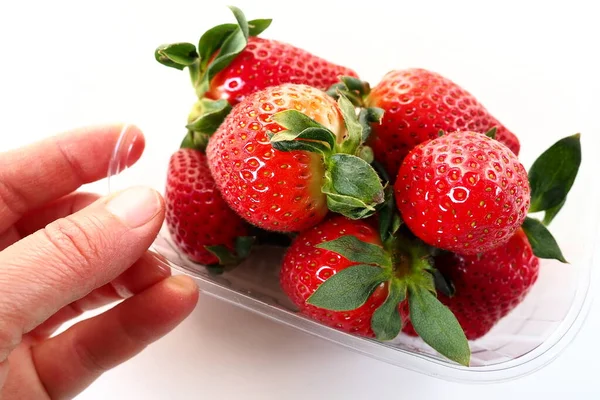 成熟的草莓在一个白色背景的塑料袋里 美味的新鲜浆果在一个卖给顾客的容器里 保持食物新鲜 健康食品 女人牵着草莓的手 — 图库照片