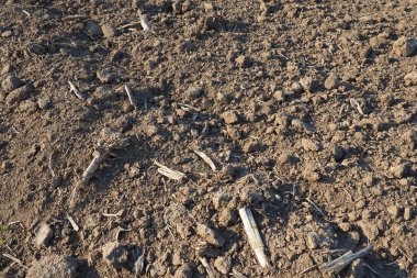 Tarım tarımı için ekilebilir alan hazır. Kara toprağı sürdüm. Mısır unu yere düştü. Ekmek için verimli toprak. Gübreler iyi bir hasat için anahtardır. Tarım işi.