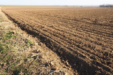 Tarım tarımı için ekilebilir alan hazır. Traktörün ya da kombinasyonunun izleri. Mısır unu yere düştü. Ekmek için verimli toprak. Gübreler iyi bir hasat için anahtardır..