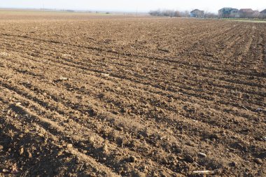 Tarım tarımı için ekilebilir alan hazır. Traktörün ya da kombinasyonunun izleri. Mısır unu yere düştü. Ekmek için verimli toprak. Gübreler iyi bir hasat için anahtardır..