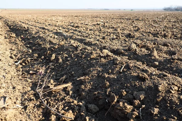 Tarım tarımı için ekilebilir alan hazır. Traktörün ya da kombinasyonunun izleri. Mısır unu yere düştü. Ekmek için verimli toprak. Gübreler iyi bir hasat için anahtardır..