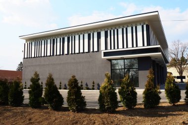 Modern bina. Thuja biçimli bir taç ile. Modern peyzaj tasarımı. Bahçenin, çimlerin, evin güzel dekorasyonu. Çizgili dekorlu gri duvar, asfaltın yanında birkaç çalı.