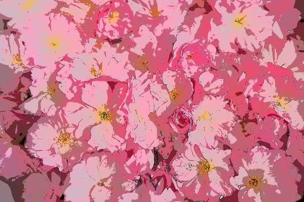 Рожеві Квіти Вишневий Фон Сакури Ілюстрація Квіткових Стін Який Вибірковий — стокове фото