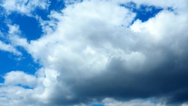 在蓝天的映衬下快速移动的云彩 云彩积云在风中移动得越来越低越来越快 气象预报和天气预报 生态问题 气候变化 风暴时间飞逝4K — 图库视频影像