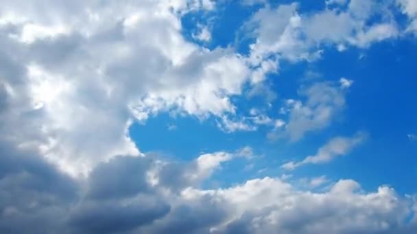 Nubes de movimiento rápido contra un cielo azul. Nubosidad cúmulos nubes se mueven más y más rápido en el viento. Meteorología y pronóstico del tiempo. Problemas ecológicos. Cambio de clima. Timelapse viento de tormenta — Vídeos de Stock