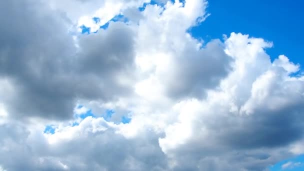 Nubes de movimiento rápido contra un cielo azul. Nubosidad cúmulos nubes se mueven más y más rápido en el viento. Meteorología y pronóstico del tiempo. Problemas ecológicos. Cambio de clima. Timelapse viento de tormenta — Vídeos de Stock