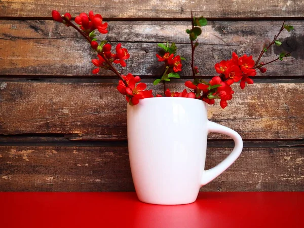 Still life with red flowers and crockery. Branches and scarlet flowers of chaenomeles in a white cup with a handle on a red table, against the background of wooden boards. Apartment kitchen design.