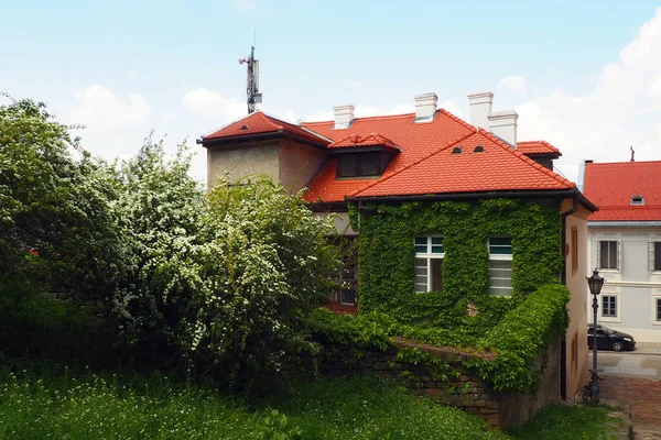 Petrovaradin Novi Sad Serbien April 2022 Straßen Alte Häuser Menschen — Stockfoto