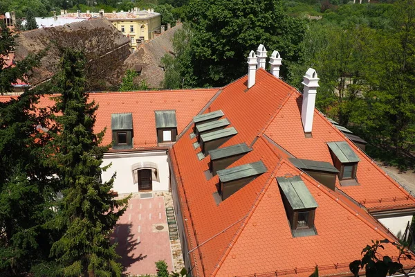 Petrovaradin Novi Sad Serbien April 2022 Gator Gamla Hus Röda — Stockfoto