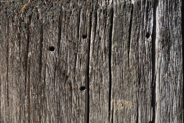 Texture Texture Old Wood Stump Close Deep Cracks Wooden Surface - Stock-foto