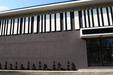 Modern bina. Thuja biçimli bir taç ile. Modern peyzaj tasarımı. Bahçenin, çimlerin, evin güzel dekorasyonu. Çizgili dekorlu gri duvar, asfaltın yanında birkaç çalı..