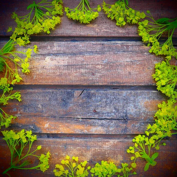 Background Dark Horizontal Wooden Planks Framed Green Maple Flowers Twigs — Fotografia de Stock