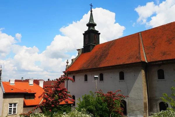 Petrovaradin Novi Sad Serbien April 2022 Straßen Alte Häuser Rote — Stockfoto