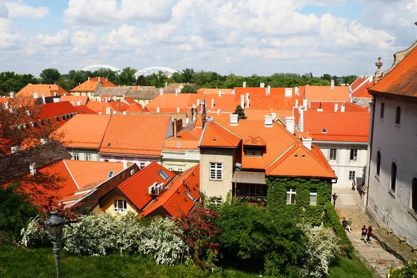 Petrovaradin Novi Sad Serbia April 2022 Streets Old Houses Red —  Fotos de Stock