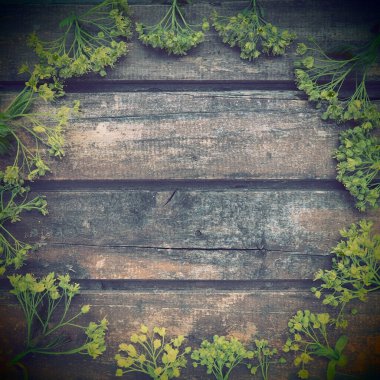 Yeşil akçaağaç çiçekleriyle çerçevelenmiş koyu renk yatay ahşap tahtaların arka planı. Dal, yaprak ve çiçekler fotokopi alanının etrafına serilmiştir. Kartpostal ya da tasarım için boş. Kahverengi ahşap ve yeşil tazelik.