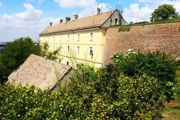 Petrovaradin Novi Sad Serbien April 2022 Gader Gamle Huse Røde - Stock-foto