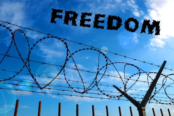 Barbed wire against the blue sky and white clouds. The inscription in black - freedom. The concept of freedom, human rights, imprisonment, restrictions and violence. — Fotografia de Stock