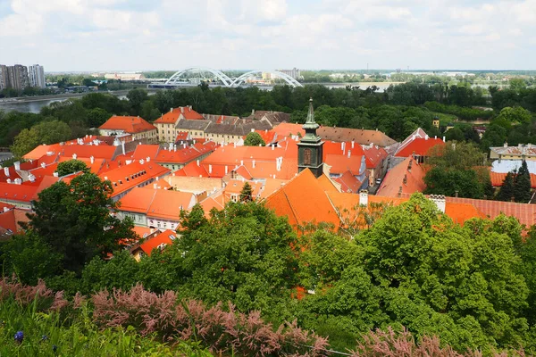 Petrovaradin, Novi Sad, Serbia, 30 de abril de 2022. Calles, casas viejas, techos rojos. Atracción turística. Hermosas fachadas brillantes. Paisaje urbano. Negocios turísticos en los Balcanes. —  Fotos de Stock