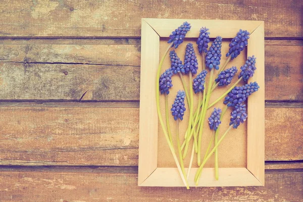 Μπλε Ανοιξιάτικα Λουλούδια Ξύλινο Κορνίζα Muscari Armeniacum Ξύλινο Φόντο Έξυπνη — Φωτογραφία Αρχείου