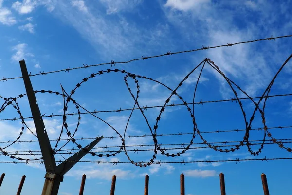 Barbed Wire Blue Sky Barbed Wire Wire Narrow Strip Metal — Stock fotografie