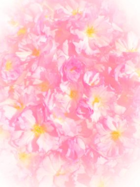 Pembe çiçekler kirazlı sakura arka plan. Çiçek duvarı çizimi. Yumuşak seçici odaklanma. Tatil kartpostalı. Pembe taç yaprakları ve sarı mamalar. Güzel arka plan. Beyaz vignette. Bulanık sanat