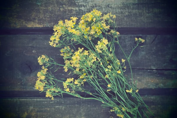 Yellow Rapeseed Flowers Collected Bunch Bouquet Wooden Background Wildflowers Arranged — Stock Photo, Image