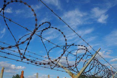 Barbed wire against the blue sky. Barbed wire is a wire or a narrow strip of metal with sharp spikes. Device of barriers. The concept of freedom, protection of property, violence, imprisonment.