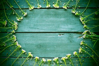 Çobanlar çiçek çantalarını ahşap arka planda ya da eski masada bir daire şeklinde dizerler. Küçük sarı kızılötesi ışınlar. çoklu uzay. Merkezde metin için boş yer var. Yeşil tonlama. Karanlık ağlar örüyor