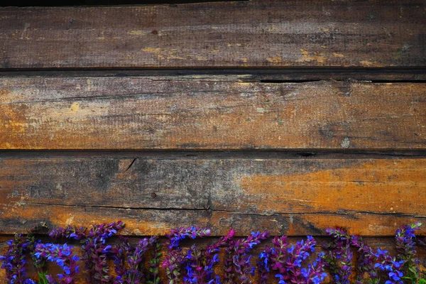 Fleurs Lavande Sauge Sur Une Table Bois Close Planches Horizontales — Photo