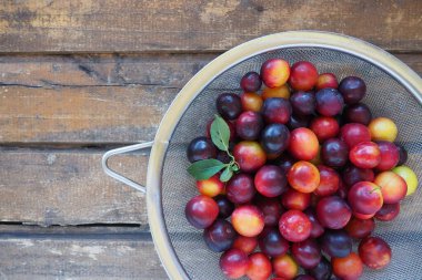 Ahşap arka planda kiraz eriği. Sarı-kırmızı erik karışımı az önce ağaçtan çıkarıldı. Lezzetli taze erik meyveleri. İndirimli katalog için büyük vişneli erik. Ahşap arka planda yemek..