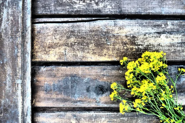 木製の背景に束や花束で収集された黄色の菜の花 野生の花はテーブルの上にきれいに配置されています スペースをコピーし まだ生活 テキストのための無料スペース アブラナ科アブラナ科 — ストック写真