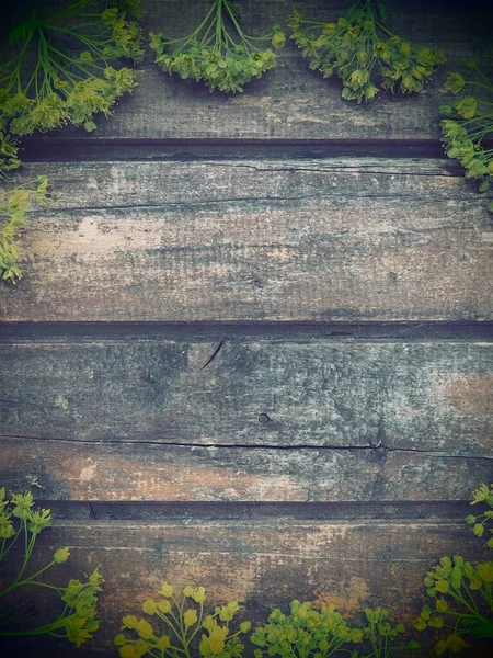 Background of dark horizontal wooden planks framed with green maple flowers. Twigs, leaves and flowers are laid out around copy space. Postcard or blank for design. Brown wood and green freshness.