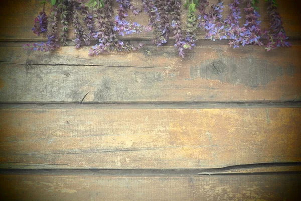 Lavanda Flores Sálvia Uma Mesa Madeira Close Placas Horizontais Madeira — Fotografia de Stock