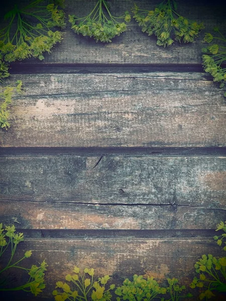 Background Dark Horizontal Wooden Planks Framed Green Maple Flowers Twigs — Fotografia de Stock