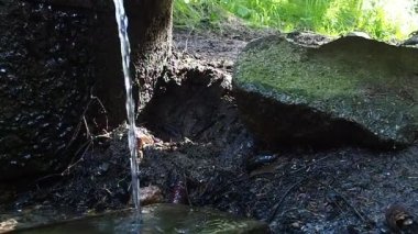 Dripping water slow motion. Slow motion water jet. Mountain or taiga stream. Loopable repetitive. Water falls on a wooden board. Earth, cones, stones. Forest spring with clear cold water.