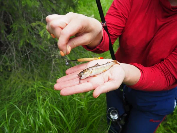 Woman Holds Trout Fry Fishing Rod Her Hands Fish Took — ストック写真