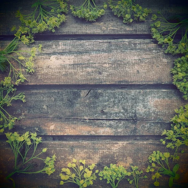 Background Dark Horizontal Wooden Planks Framed Green Maple Flowers Twigs — Fotografia de Stock
