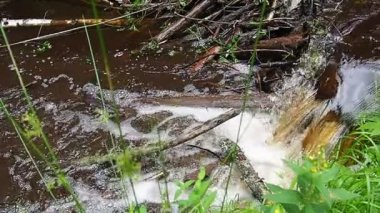 A beaver dam erected by beavers on a river or stream to protect against predators and to facilitate foraging during the winter. The dam materials are wood, branches, leaves, grass, silt, mud, stones.