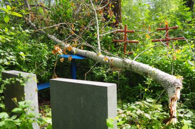 The tree fell on the monument and the grave in the cemetery. Crosses and headstones. Cutting and removal of trees in the cemetery. Cemetery pollution. Damage to monuments and graves.