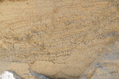 Shaping the crown of thuja. Garden and park. Floriculture and horticulture. Landscaping of urban and rural areas. Yellow-green leaves and needles of coniferous plant.