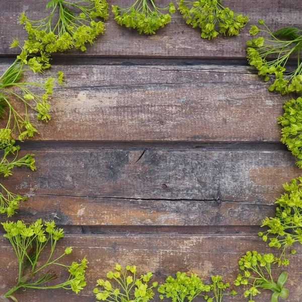 Background Dark Horizontal Wooden Planks Framed Green Maple Flowers Twigs — Stock Fotó